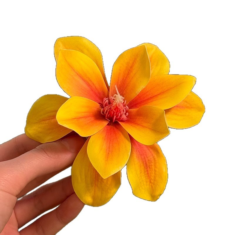 Estilo de vacaciones en la pla - Women'S Yellow Accessories reseña y precio