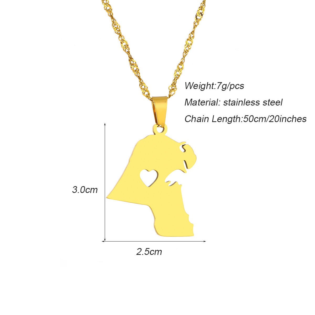 Collar con Colgante de la Band - Women Accessories Kuwait reseña y precio