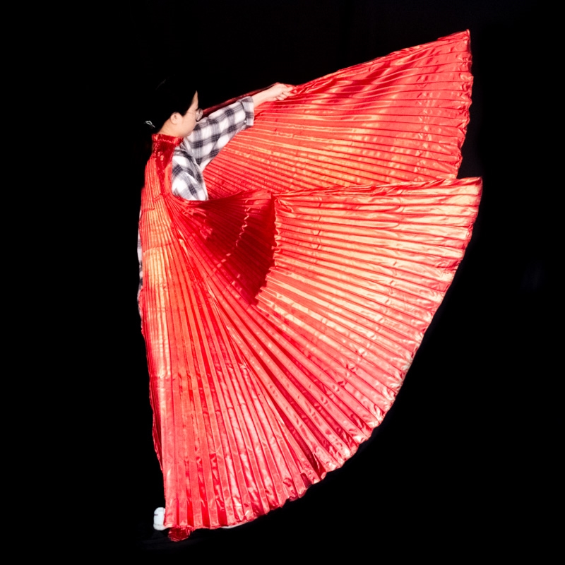 Alas de danza del vientre para - Women Accessories Egypt reseña y precio